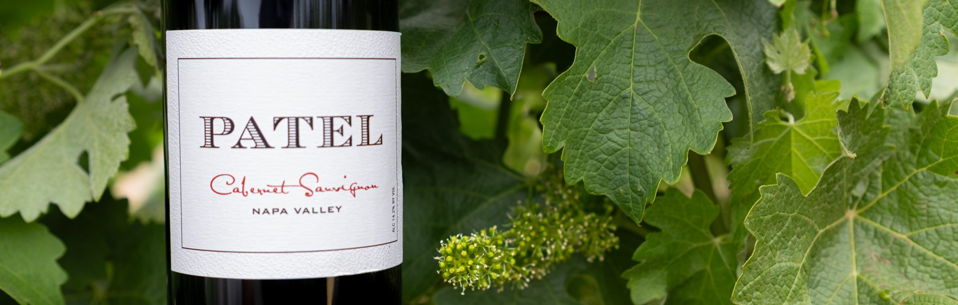 Patel Winery Banner